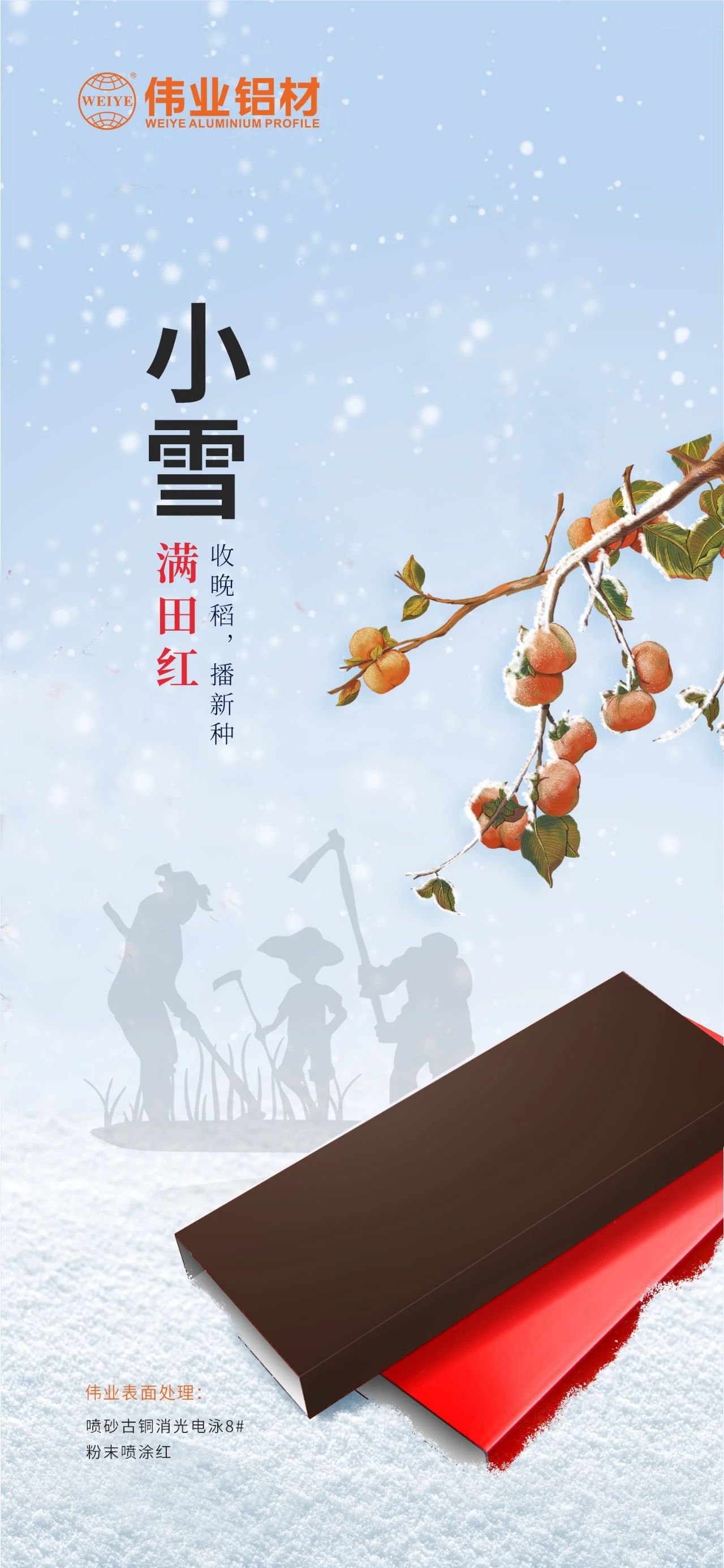 今日幼雪｜满田红 收晚稻  播新种