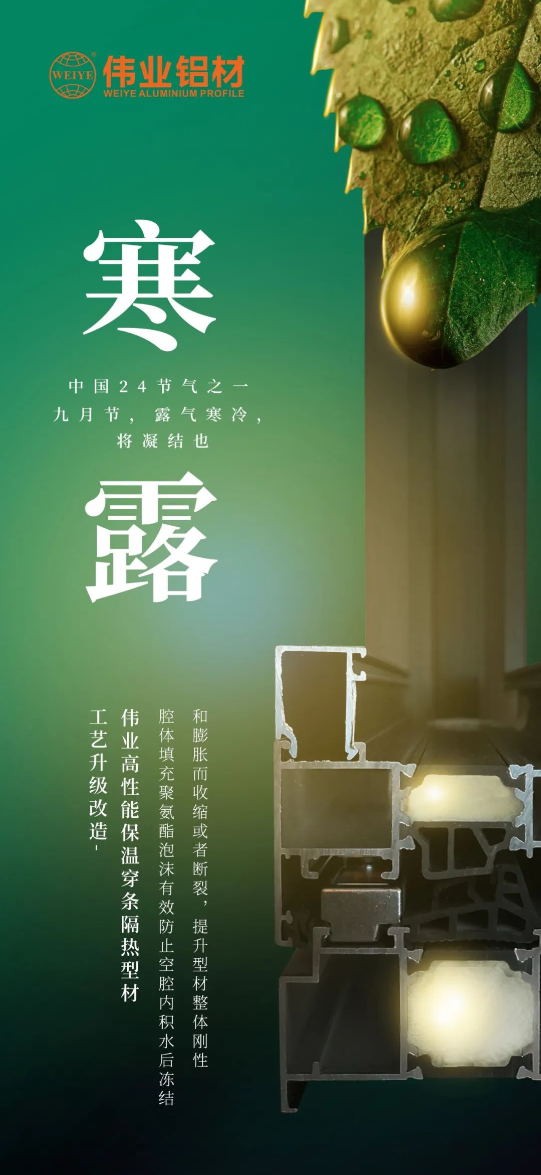 #寒露 九月节，露气寒冷，将凝固也 时光入深秋，岁月便深情